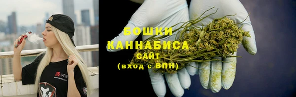 амф Няндома