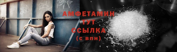 амф Няндома