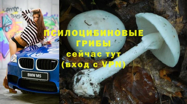 мяу мяу мука Нязепетровск