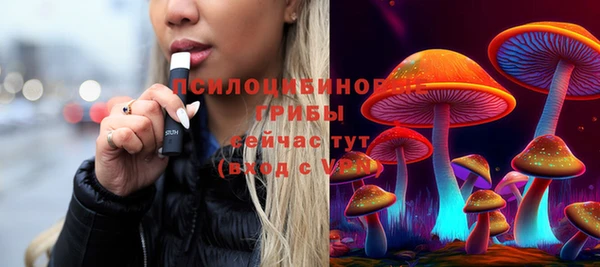 амф Няндома